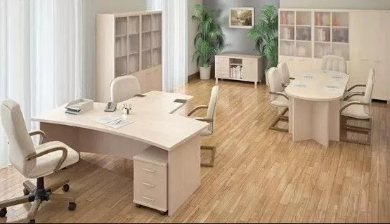 Кабинет руководителя ФЁСТ клен